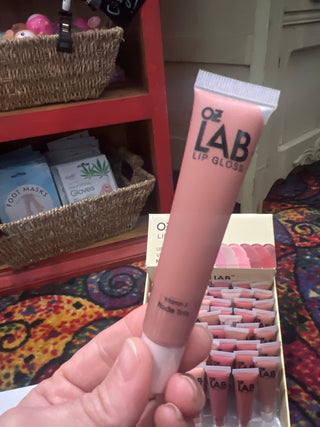 Nude Shades Lip Gloss
