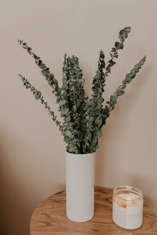 Preserved Eucalyptus