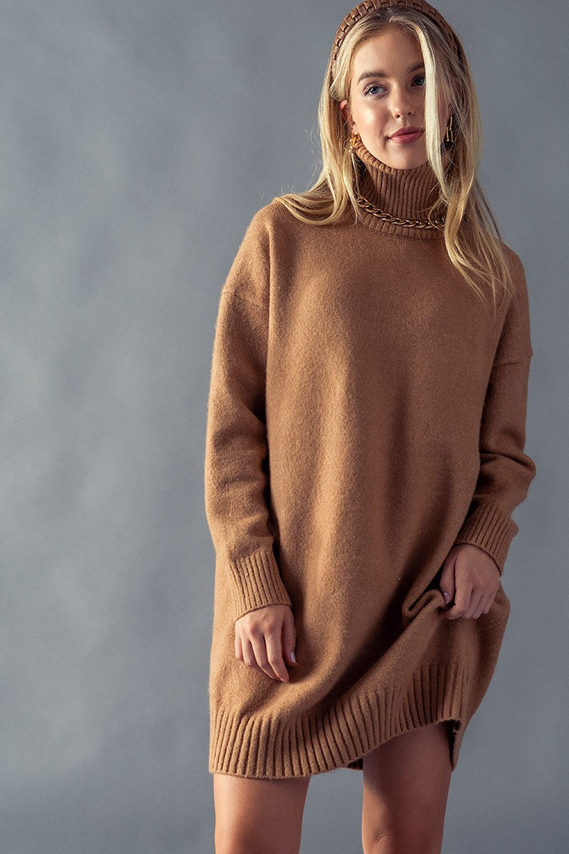 Turtle Toes Sweater Dress