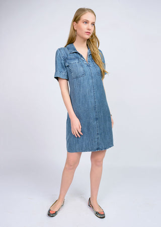 Denim Shift Dress