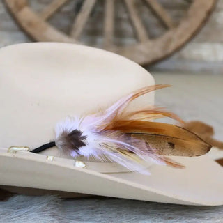 Hat Feather/Pins