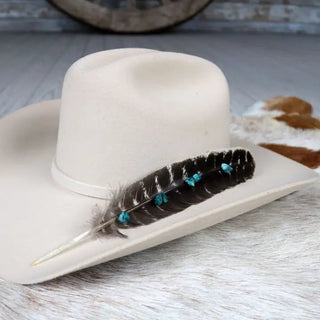 Hat Feather/Pins