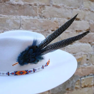 Hat Feather/Pins