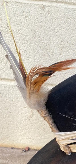 Lajitas Hat feather