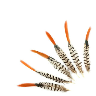 Pheasant Feathers 4-6" - Ya Ya Gurlz