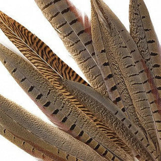 Pheasant Tail Feathers - Ya Ya Gurlz