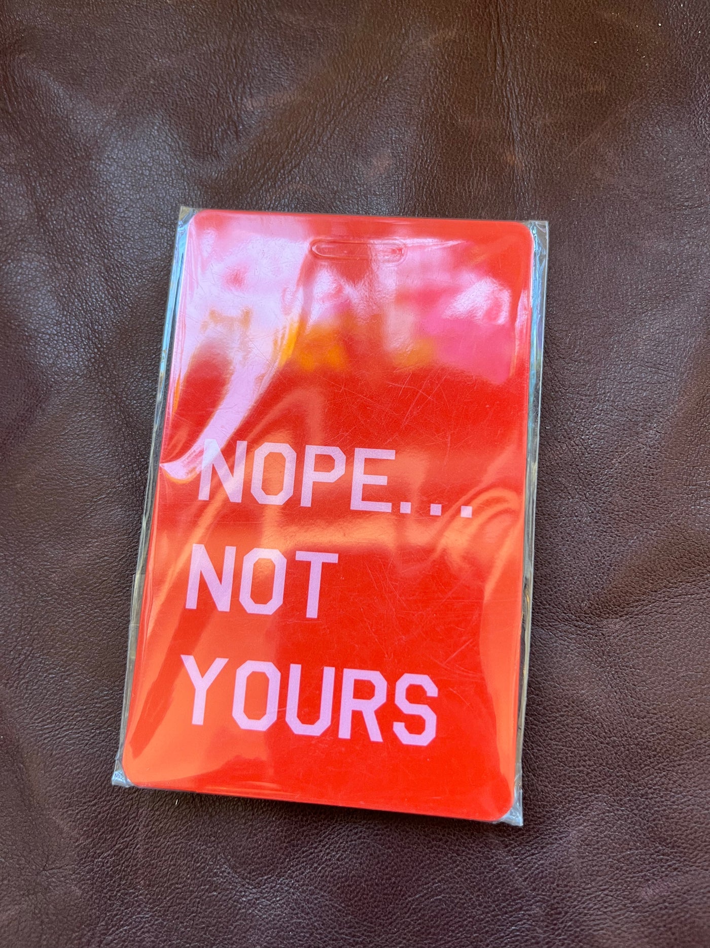 Saucy Luggage Tags